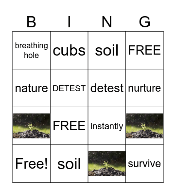 Polar Beard and Nature Bingo Card