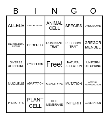 VOCABULARY Bingo Card