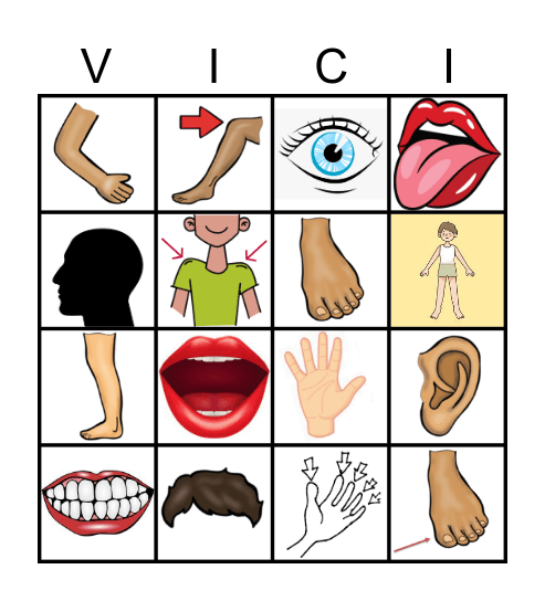 corpus humanum Bingo Card