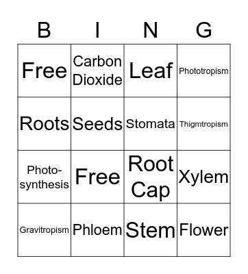 Parts of a Plant Bingo Card