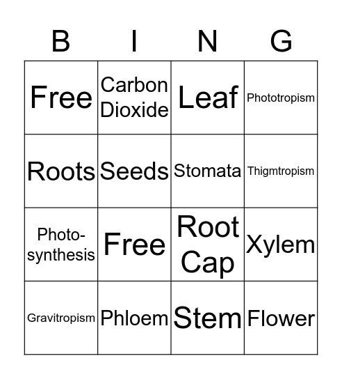 Parts of a Plant Bingo Card