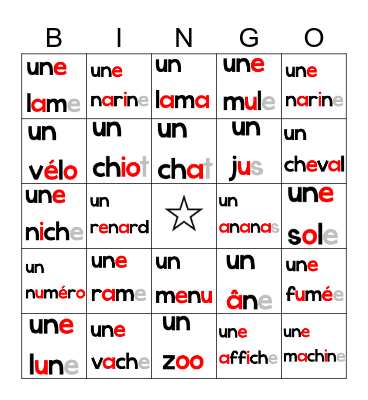 UN et UNE Bingo Card