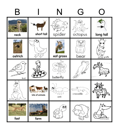 Animals Bingo Card