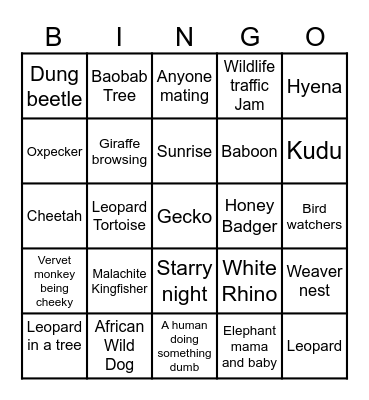 Kruger Search Bingo Card