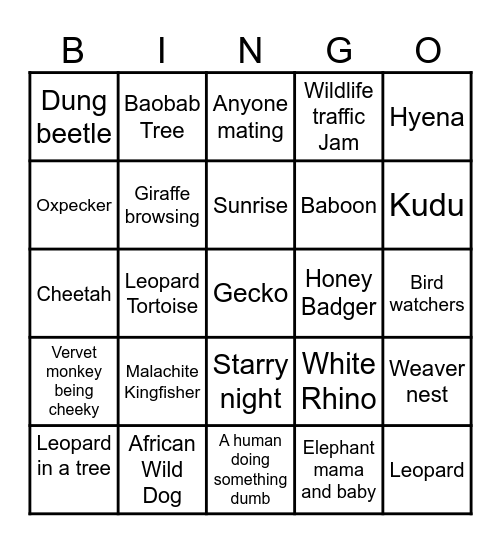 Kruger Search Bingo Card