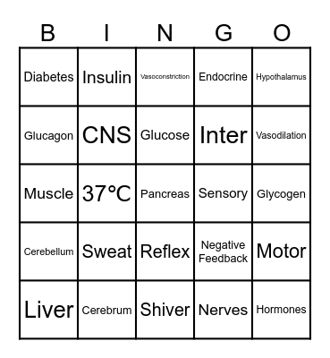 HOMEOSTASIS Bingo Card