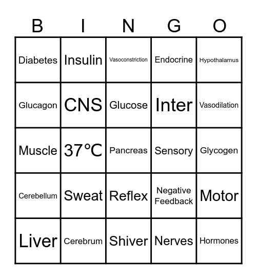 HOMEOSTASIS Bingo Card