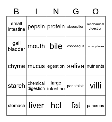 Digestive System Bingo Card