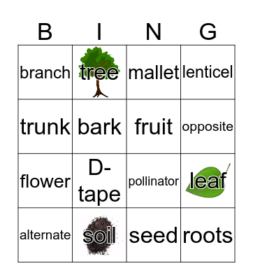 Forestry Bingo Card