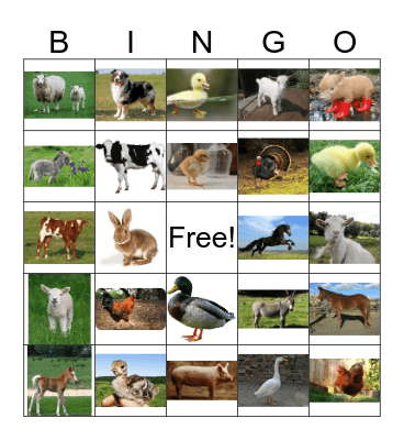 Farm Animal Bingo Card