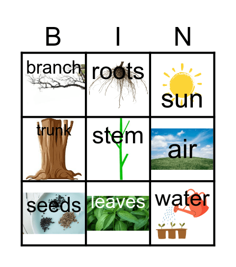 PLANTS Bingo Card