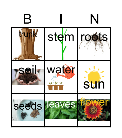 PLANTS Bingo Card