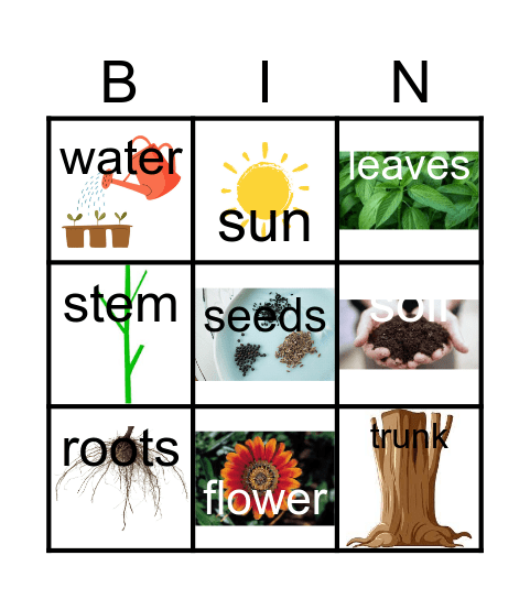 PLANTS Bingo Card