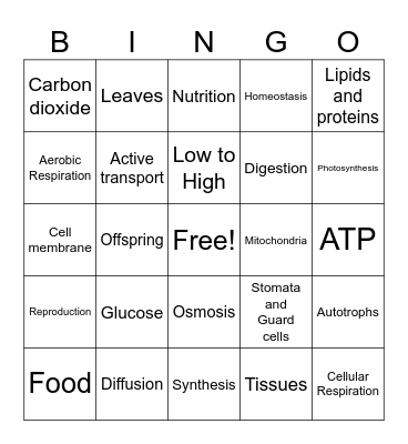 Second Quarter Exam  2024 Bingo Card