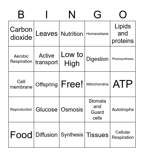 Second Quarter Exam  2024 Bingo Card