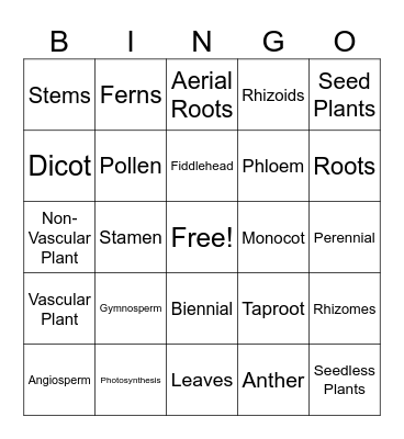 PLANT Bingo Card