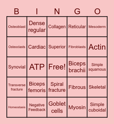 Semester 1 Review Bingo Card