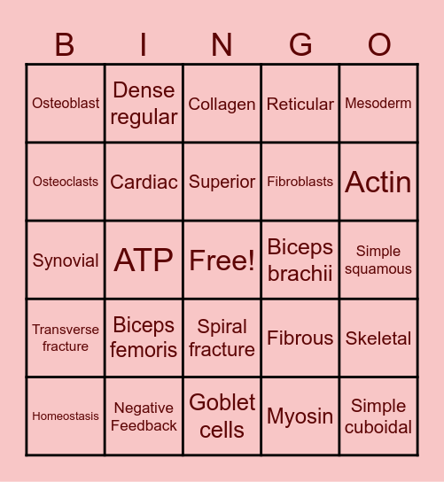 Semester 1 Review Bingo Card