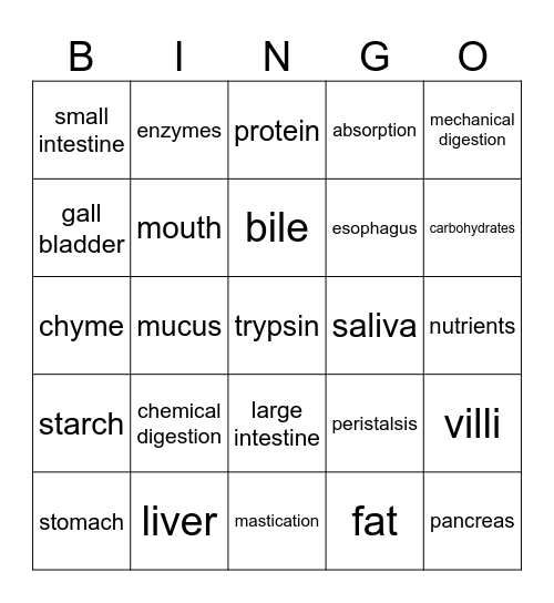 Digestive System Bingo Card