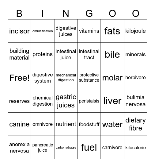 Nutrition and Digestion Bingo Card