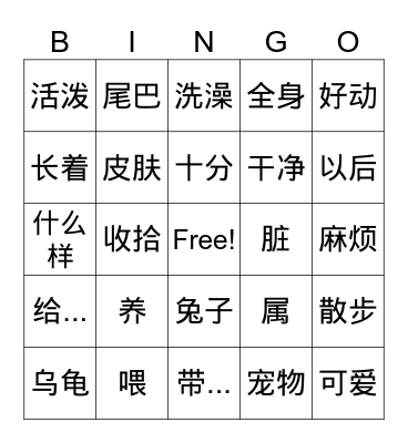 Lesson 6 pets Bingo Card