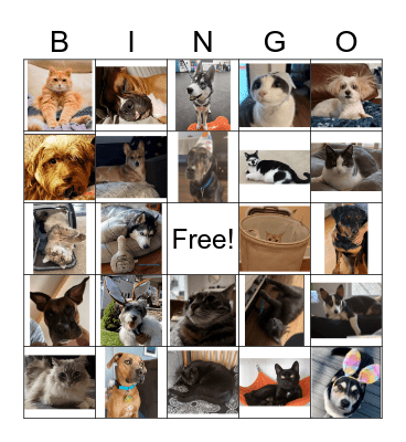 ES Pets & friends Bingo Card