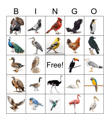 Bird Bingo Card