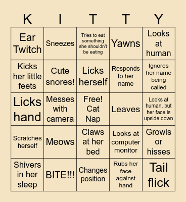 Cat on Stream Bingo Card
