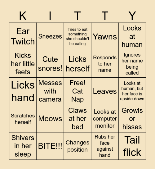 Cat on Stream Bingo Card