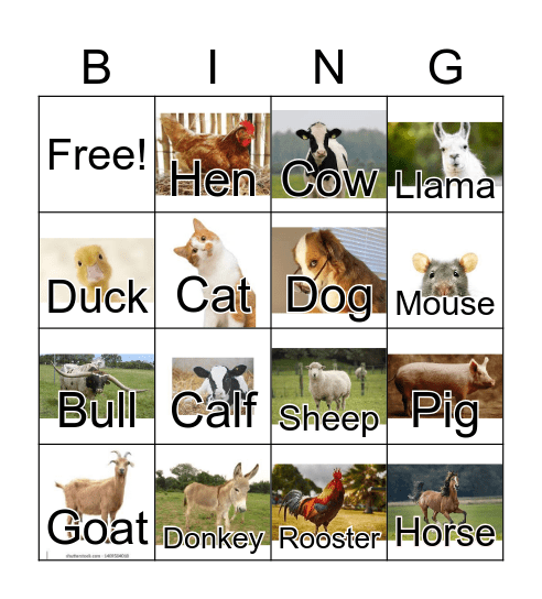 Farm Animal Bingo Card