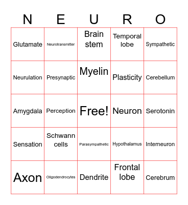 Neuro Club Bingo Card