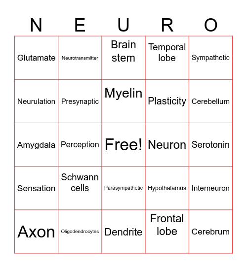 Neuro Club Bingo Card