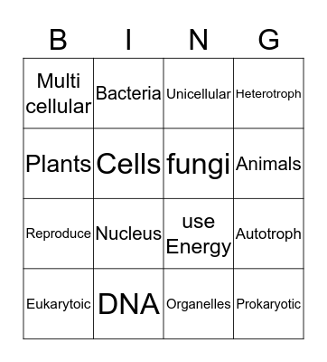 Cells  Bingo Card