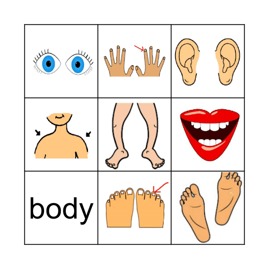 BODY PARTS Bingo Card