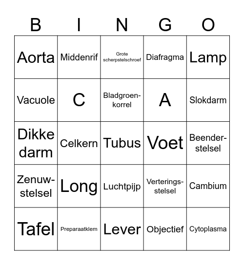 Bingo Thema 2 Bingo Card