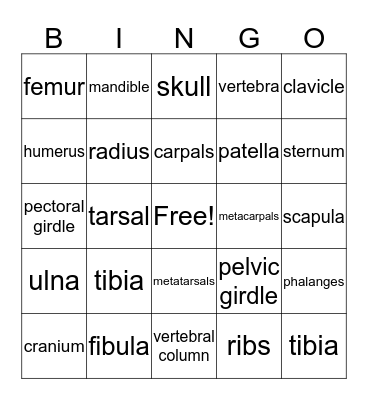 Skeletal System  Bingo Card