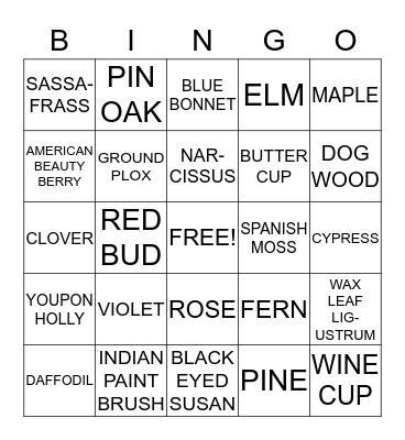 NATURE BINGO Card