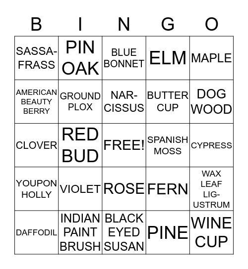 NATURE BINGO Card