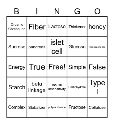 Carbohydrate Test Review Bingo Card