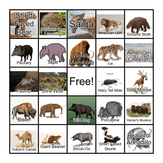 Pleistocene Animals BINGO Card
