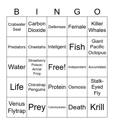 Life BINGO Card