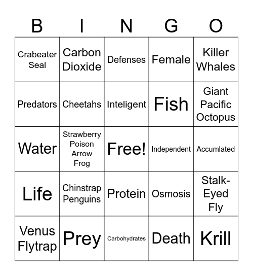 Life BINGO Card
