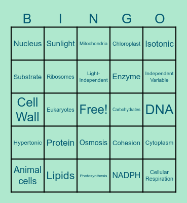 Semester One Review - Biology Bingo Card