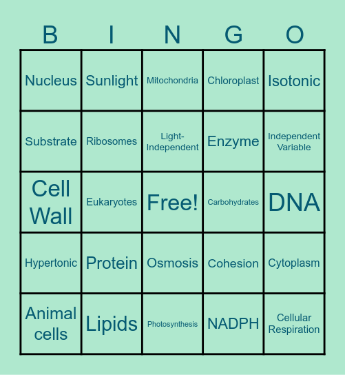 Semester One Review - Biology Bingo Card