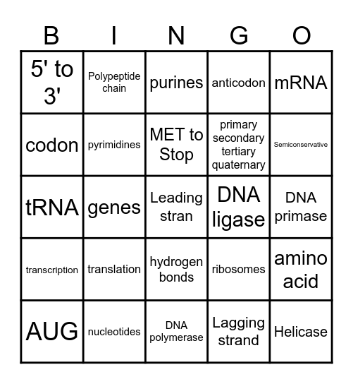 DNA replication &Protein Synthesis Bingo Card