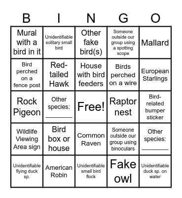 Car Birding Bingo Card