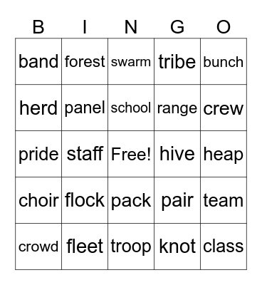 COLLECTIVE NOUNS Bingo Card