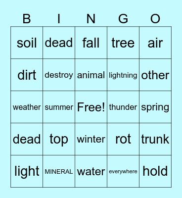 Vocabulary Bingo Card