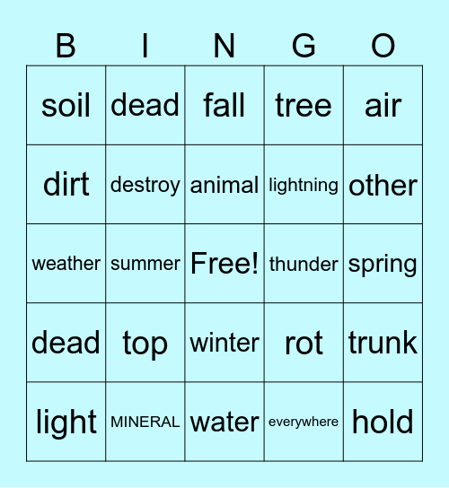 Vocabulary Bingo Card