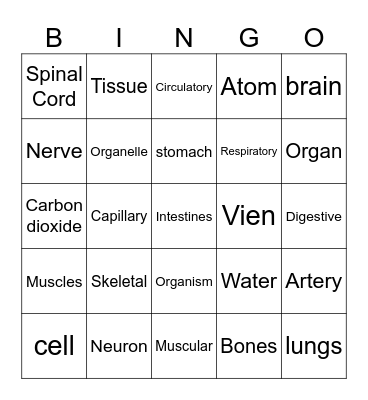 Body Systems Bingo Card